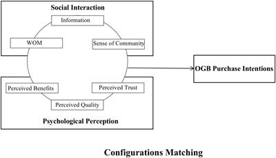 New marketing strategies for online group-buying business from a social interaction theory perspective